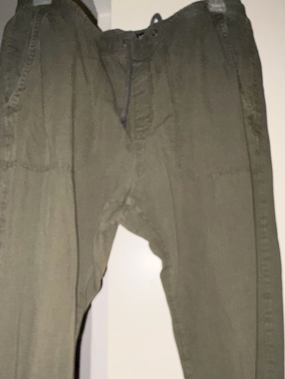 American Eagle Outfitters Men’s green Khaki pants